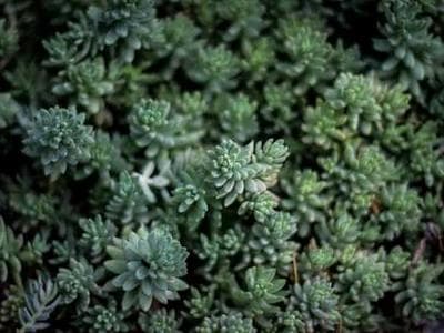 The Future of Headless Commerce: What to Expect in 2025